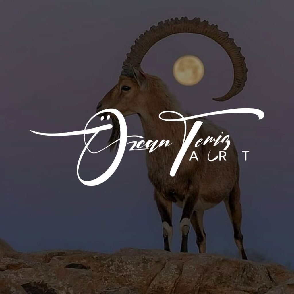 fotoğrafçı logo
