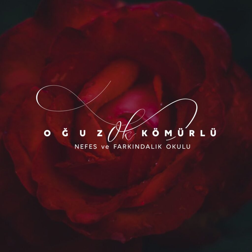 fotoğrafçı logoları