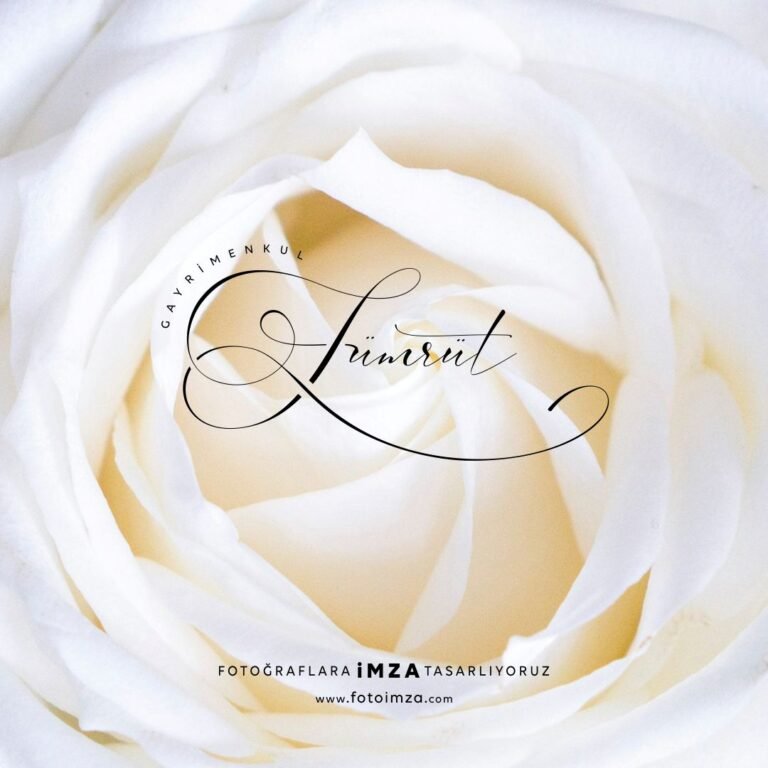 Gayrimenkul Logo Örneği