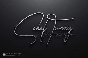 3d silver imza örnekleri