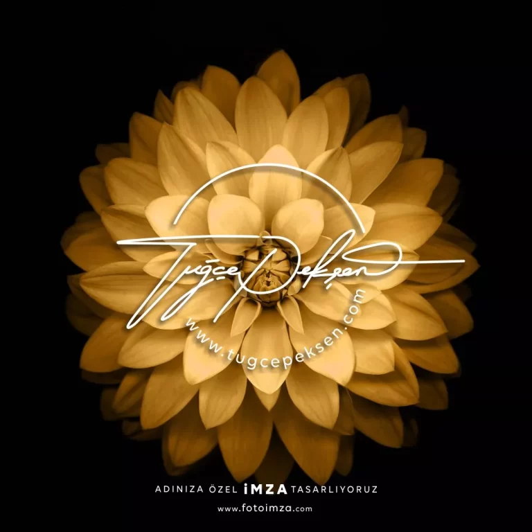 Tuğçe ismine özel hazırlanan imza tasarımı