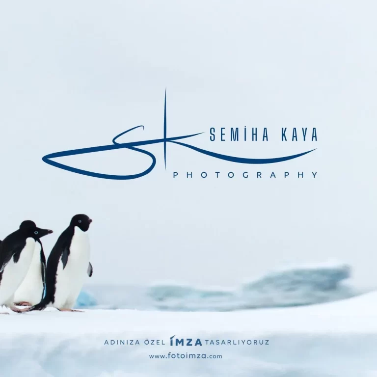 SK isim logo örneği