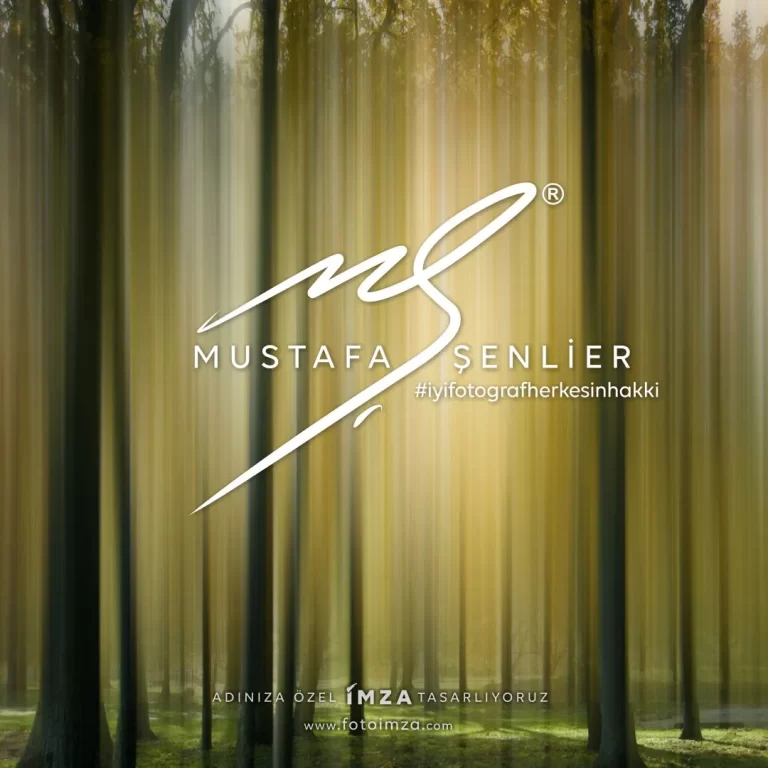 MS harfi imza örnekleri