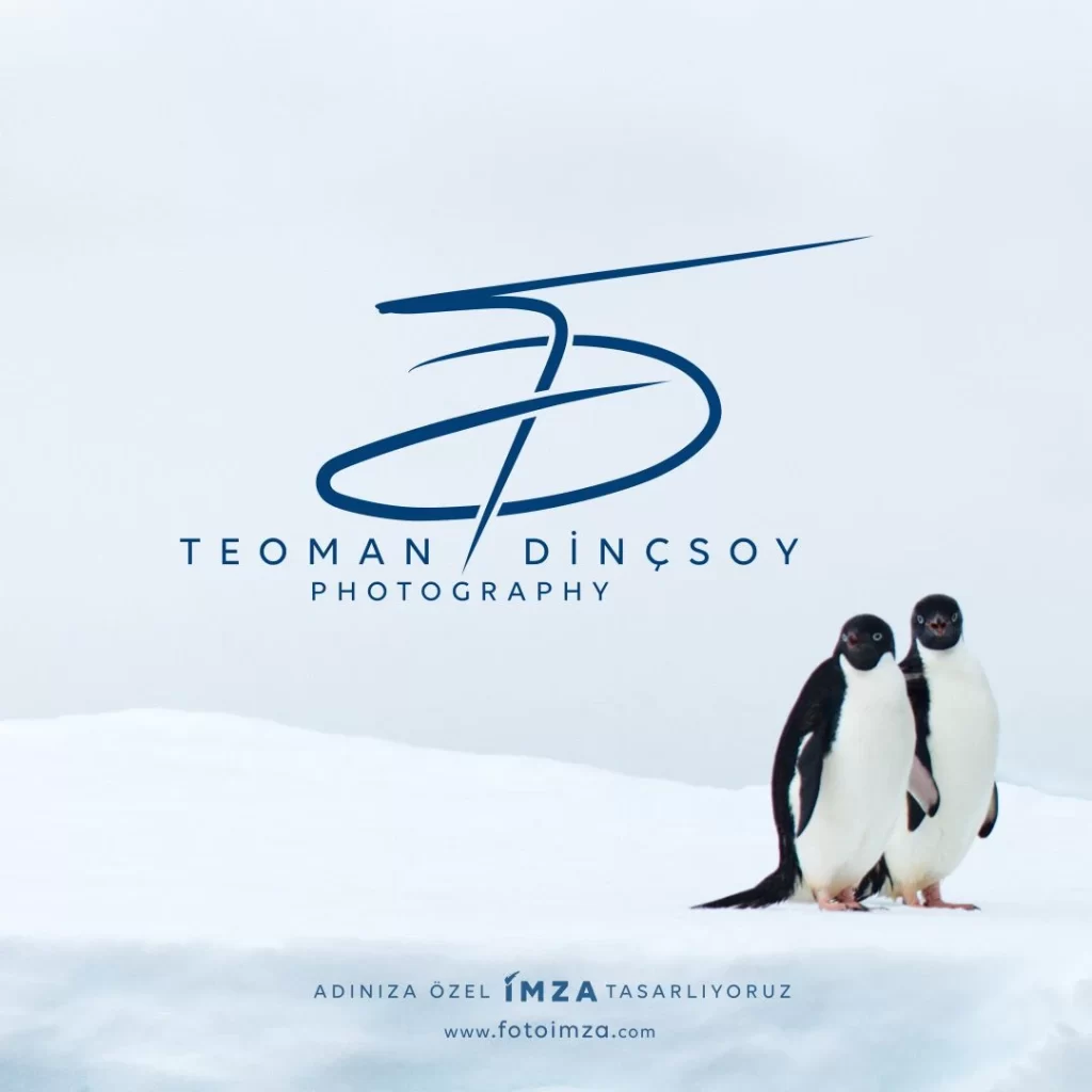 F harfi ile imza örnekleri