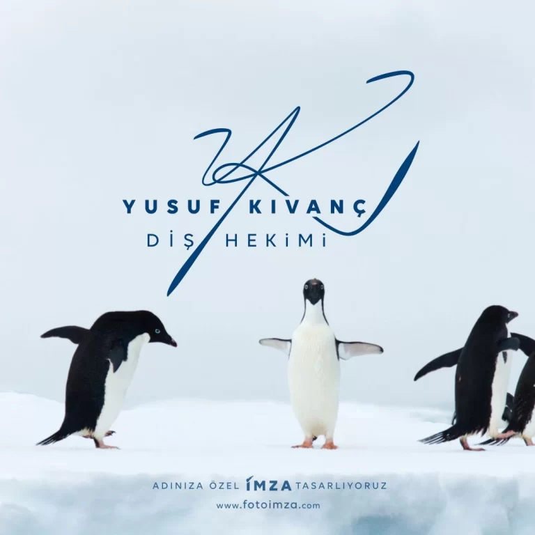 Y harfi ile imza örnekleri