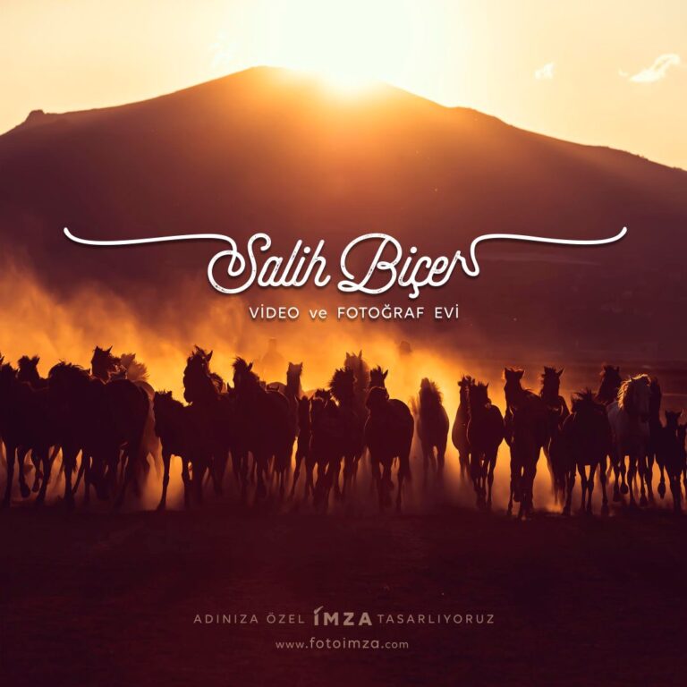 Fotoğraf Evi Logo Tasarımı