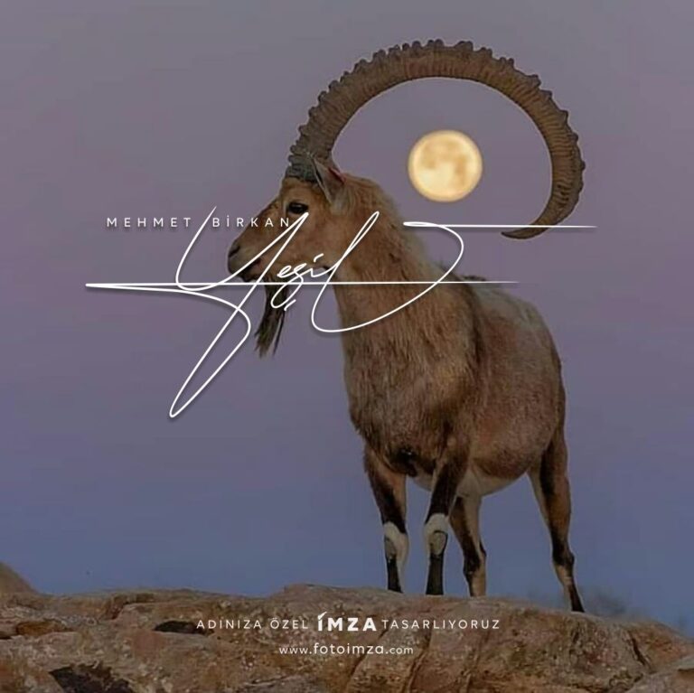 Kısa isim logo