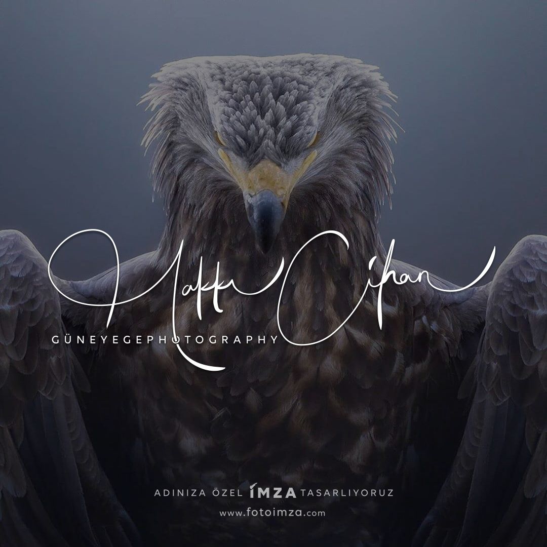 Kuş Fotoğrafçılığı Logo